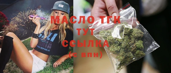 мет Няндома